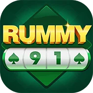 Rummy 91 icon